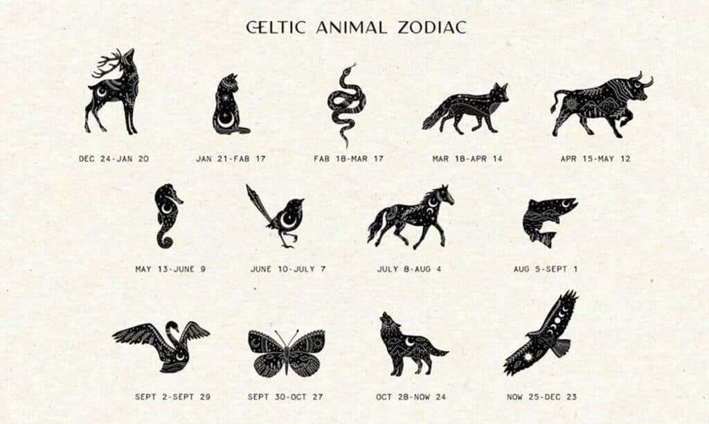 celtic zodiac sign seahorse to astrology