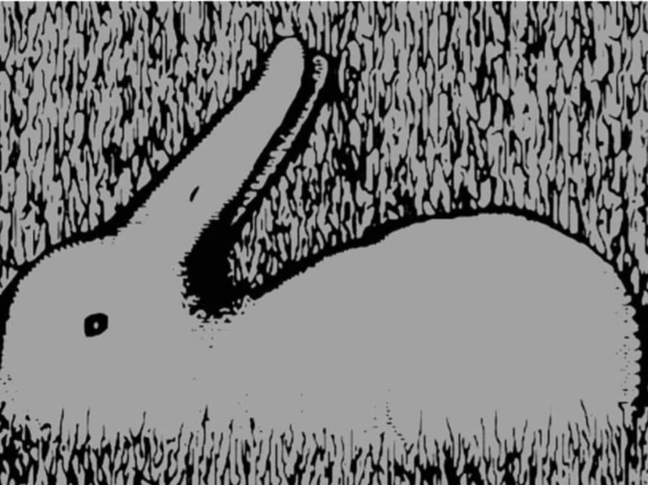 What You See In This Picture Says A Lot About Your Life Awareness Act