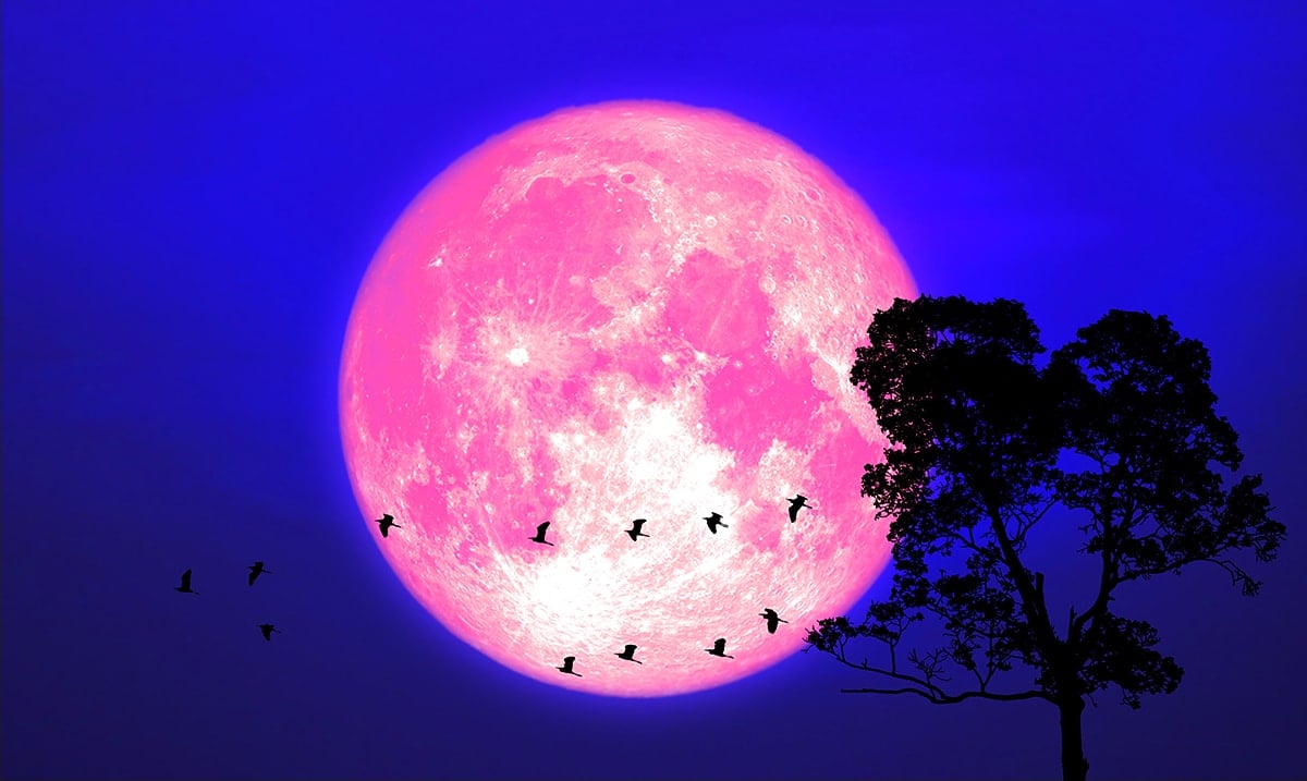 April’s Full Pink Moon In Libra Is Coming And It Will Be A Major Turning Point Of 2022