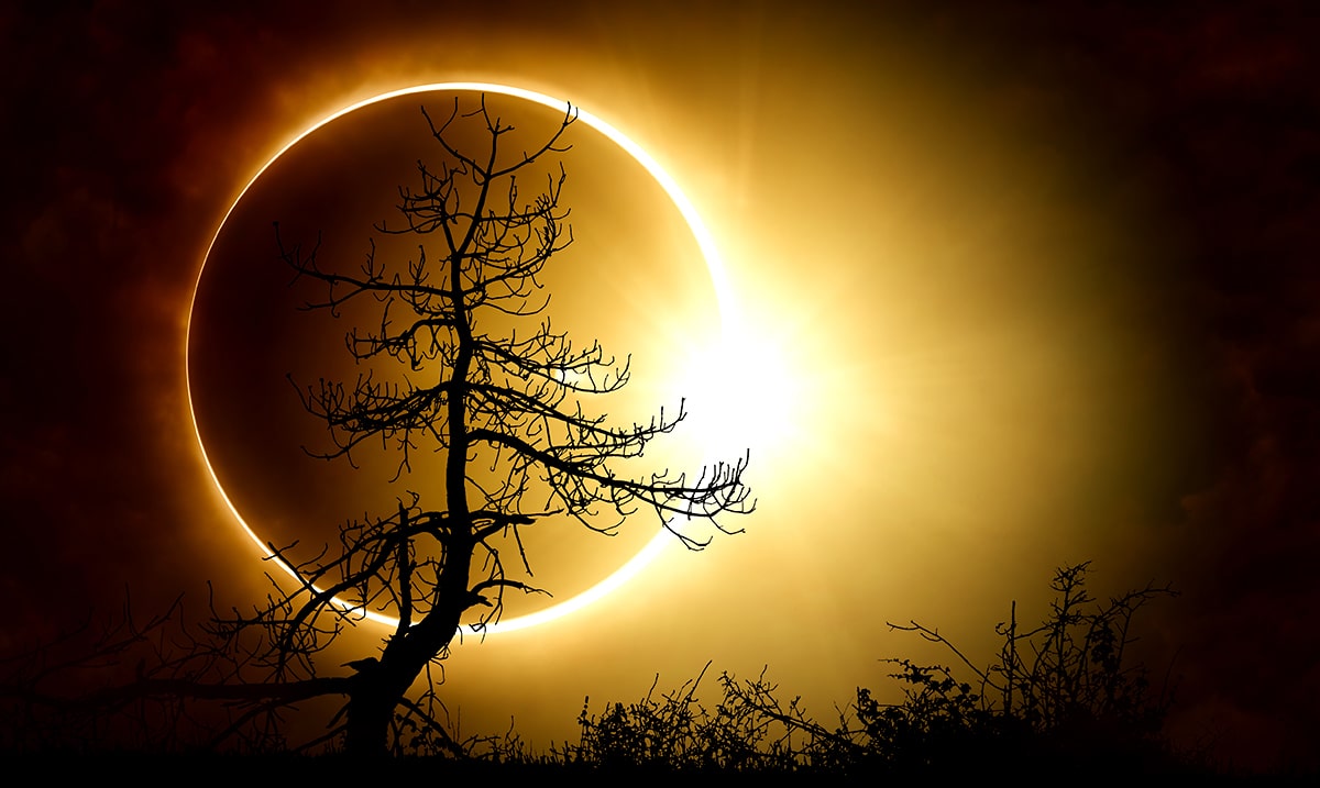 The Coming Black Moon Eclipse Is Going To Send All The Signs Into Emotional Overdrive
