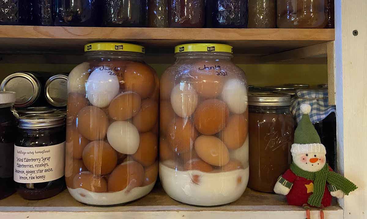 How To Preserve Eggs For Up To A Year And A Half With Using Waterglass Technique