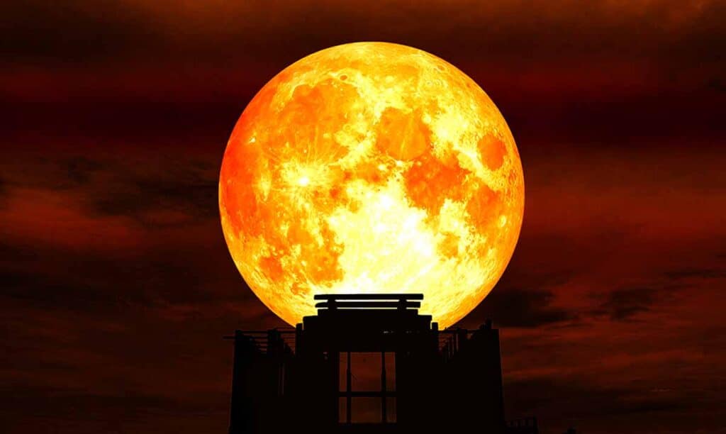 What The New Moon In Libra Means For You According To Your Zodiac Sign 