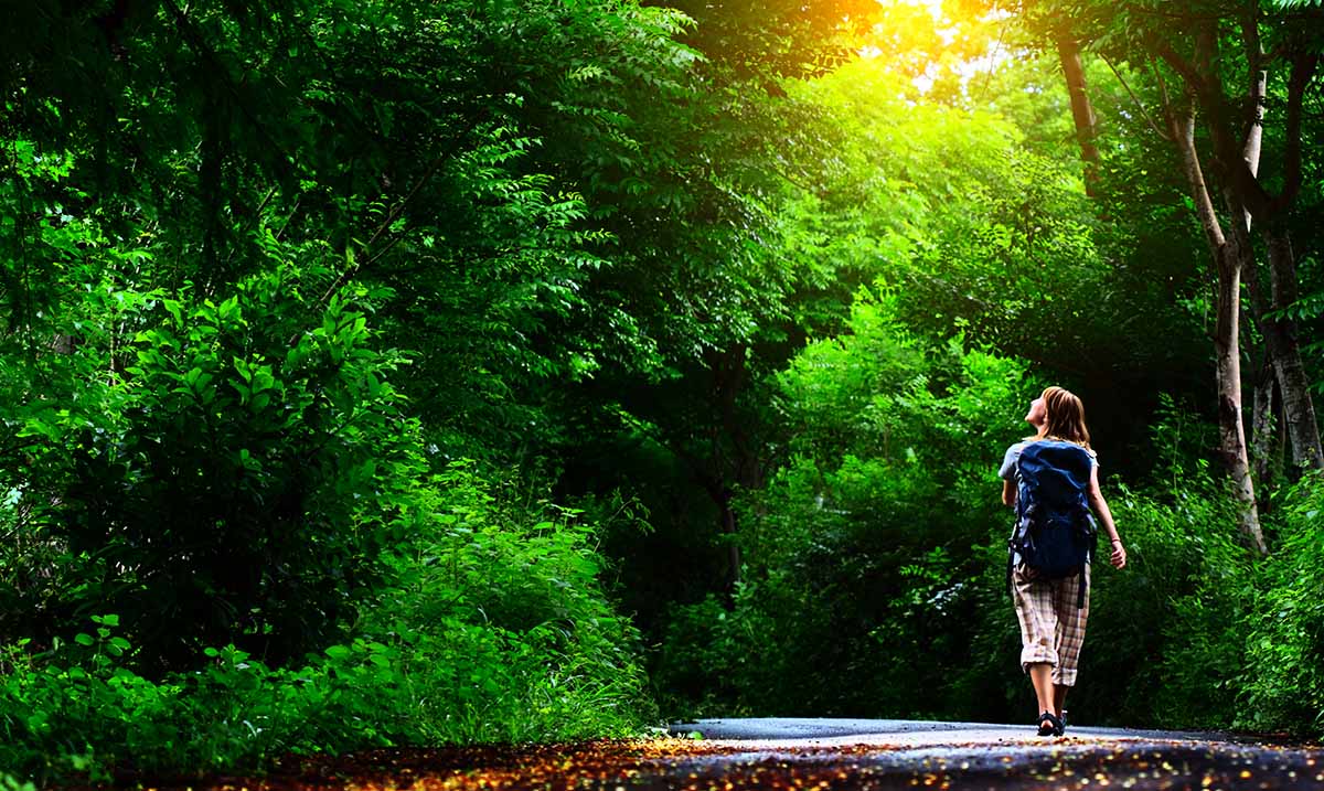 Experiment Shows What A 1 Hour Walk In Nature Can Do For The Brain