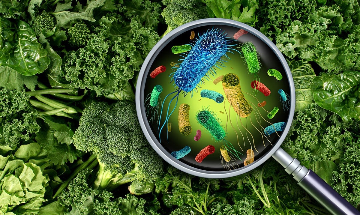 Look What’s Lurking Inside The Foods You Eat