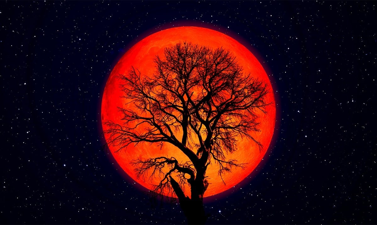 The 4 Signs That Will Be Most Affected By The Halloween Full Moon