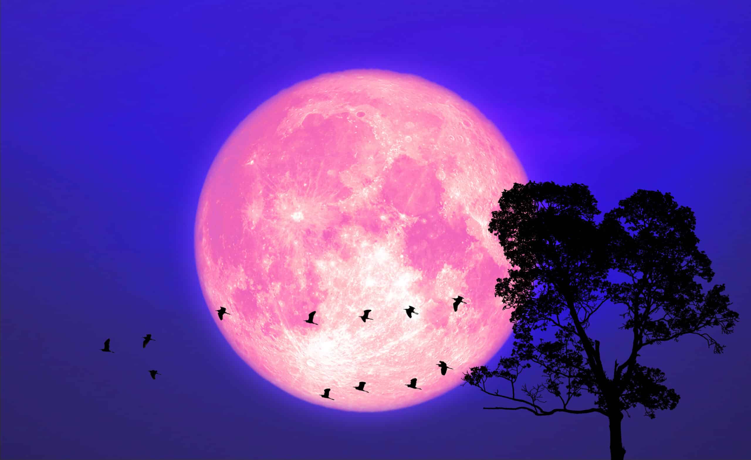The Full Flower Moon Is Rising Thursday With Red Supergiant Star